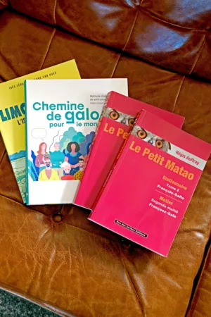 Les produits amins